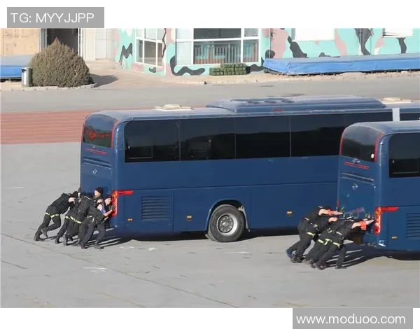 深度分析深圳攀岩队区域防守战术的独特魅力与实战应用